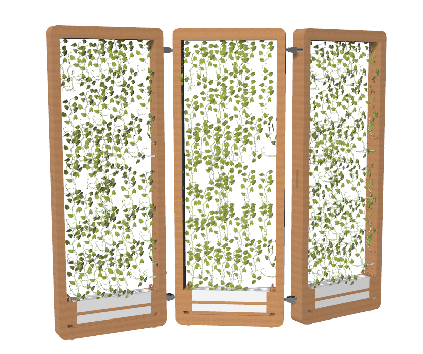 triciclo per bambino